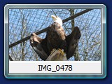 IMG_0478