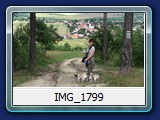 IMG_1799